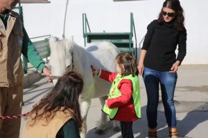 Çocuklar atları tımar etmenin mutluluğunu yaşadılar (2)