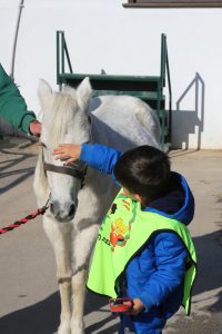 Çocuklar atları tımar etmenin mutluluğunu yaşadılar (4)