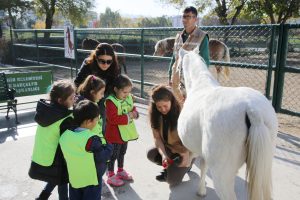 Çocuklar atları tımar etmenin mutluluğunu yaşadılar (8)
